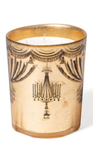 Load image into Gallery viewer, CIRE TRUDON 2024 Holiday Arosa Candle 800g
