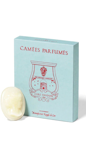 CIRE TRUDON Gabriel Cameo wax melts at Amara Home