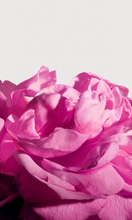 Load image into Gallery viewer, MATIERE PREMIERE Radical Rose Extrait de Parfum 100ml
