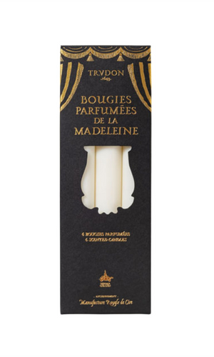 CIRE TRUDON Fir Madeleine Taper Candles