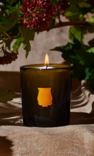 Load image into Gallery viewer, CIRE TRUDON | PETITE BOUGIES | Josephine
