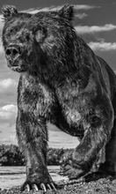 Load image into Gallery viewer, DAVID YARROW | Coffee Table Book
