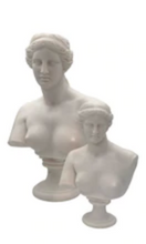 Load image into Gallery viewer, MERCER &amp; LEWIS Large Aphrodite
